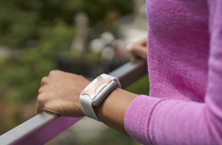 Phoenix: Can a Wearable Device Reduce Stress?